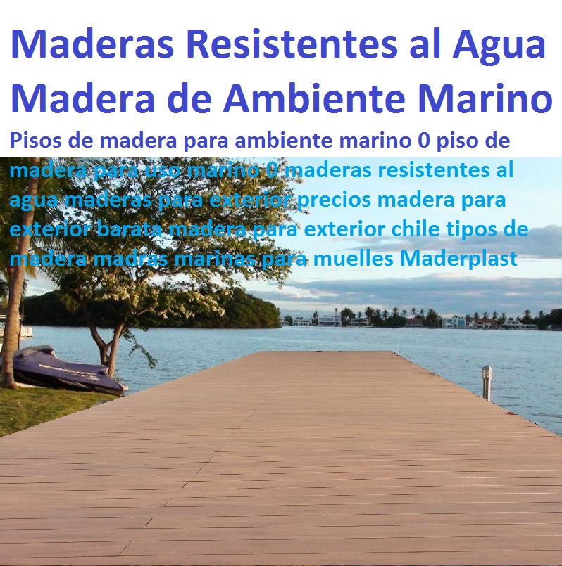 Pisos de madera para ambiente marino 0 piso de madera para uso marino 0 maderas resistentes al agua maderas para exterior precios madera para exterior barata madera para exterior chile tipos de madera Pisos de madera para ambiente marino 0 piso de madera para uso marino 0 maderas resistentes al agua maderas para exterior precios madera para exterior barata madera para exterior chile tipos de madera Pisos de madera para ambiente marino 0 piso de madera para uso marino 0 maderas resistentes al agua maderas para exterior precios madera para exterior barata madera para exterior chile tipos de madera